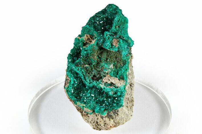 Emerald-Green Dioptase Crystal Cluster - Congo #372193